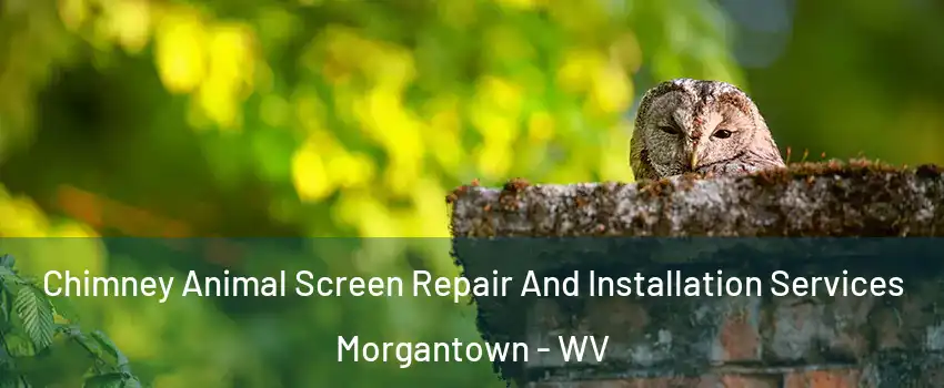  Chimney Animal Screen Repair And Installation Services Morgantown - WV