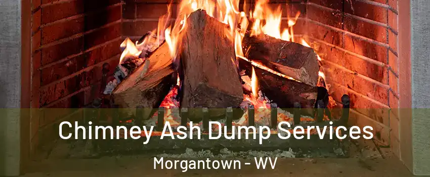  Chimney Ash Dump Services Morgantown - WV