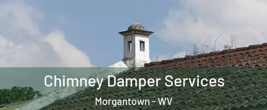  Chimney Damper Services Morgantown - WV