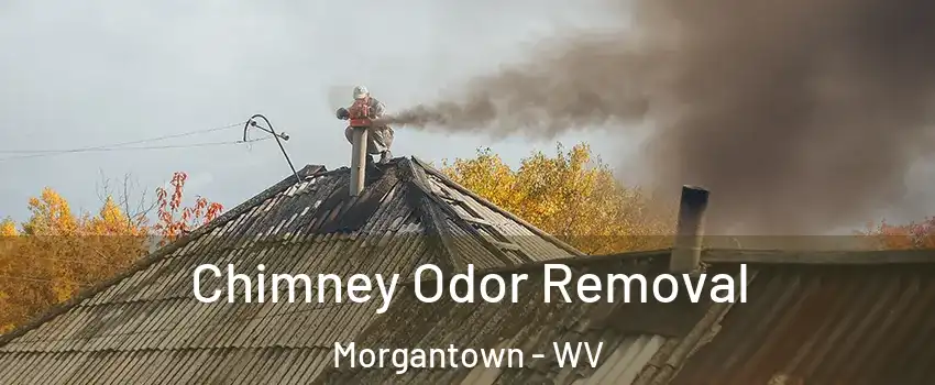  Chimney Odor Removal Morgantown - WV