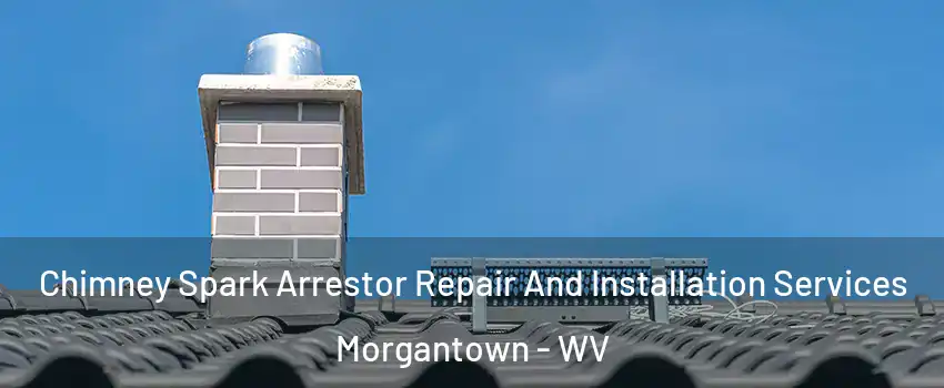  Chimney Spark Arrestor Repair And Installation Services Morgantown - WV