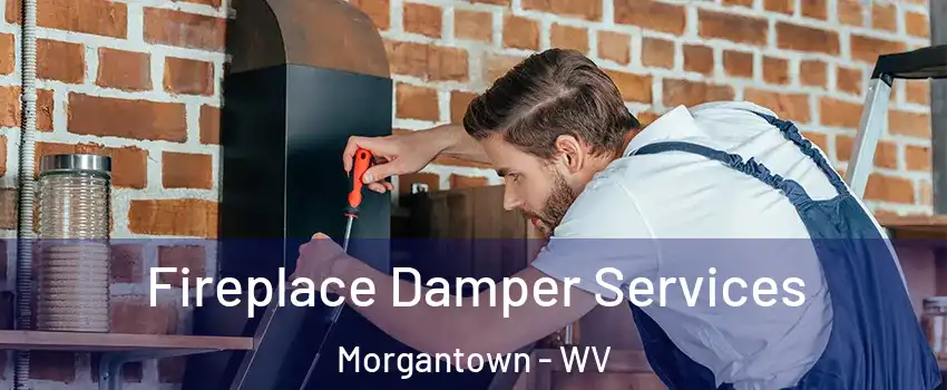  Fireplace Damper Services Morgantown - WV
