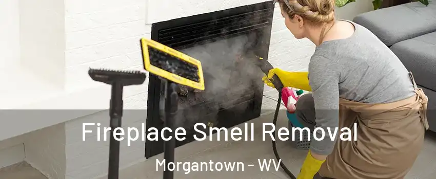  Fireplace Smell Removal Morgantown - WV