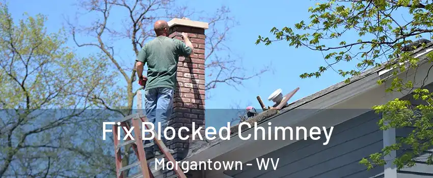  Fix Blocked Chimney Morgantown - WV