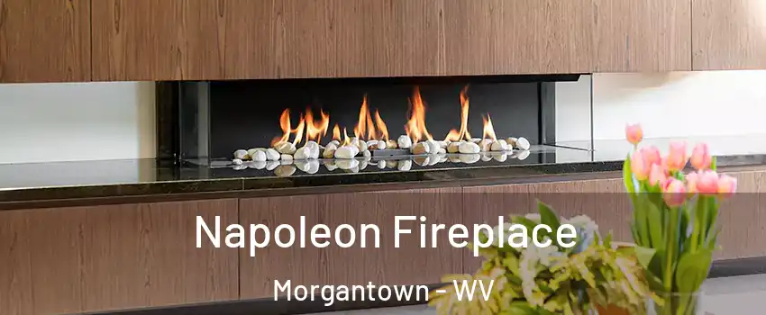  Napoleon Fireplace Morgantown - WV
