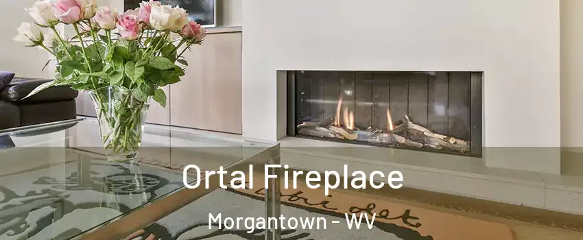  Ortal Fireplace Morgantown - WV